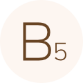 B5