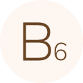 B6