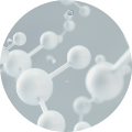 Glycyrrhiza
